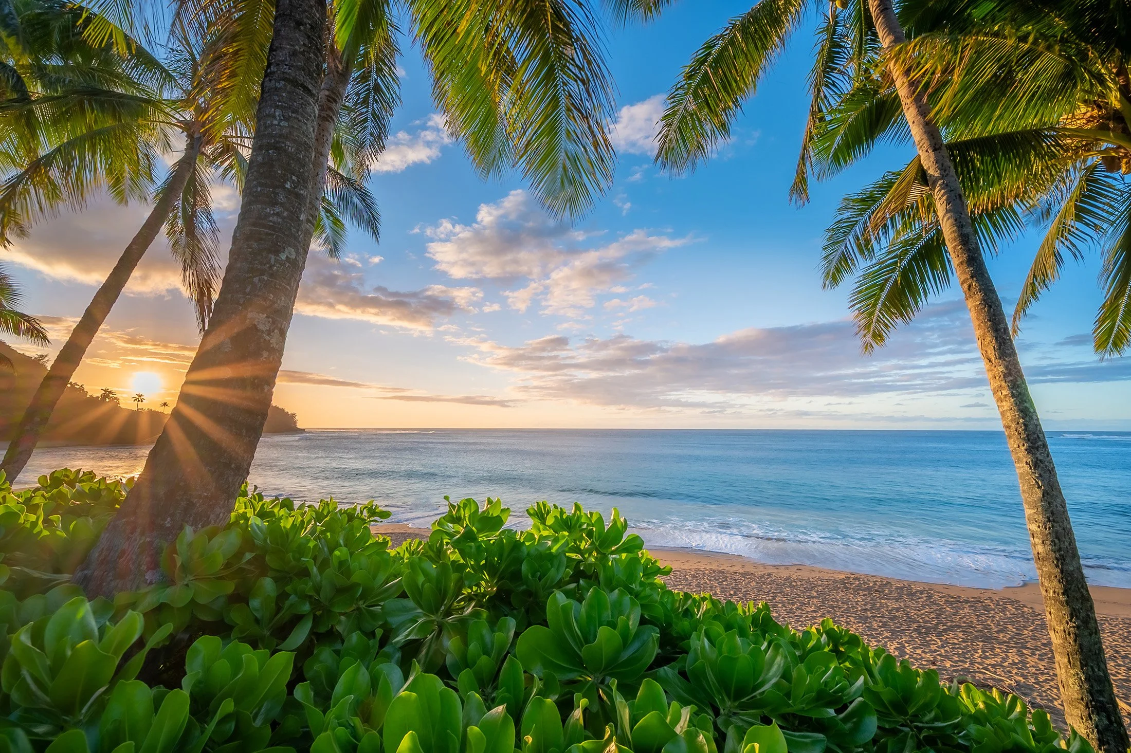 5-7834 Kuhio Hwy -  - 23.jpg