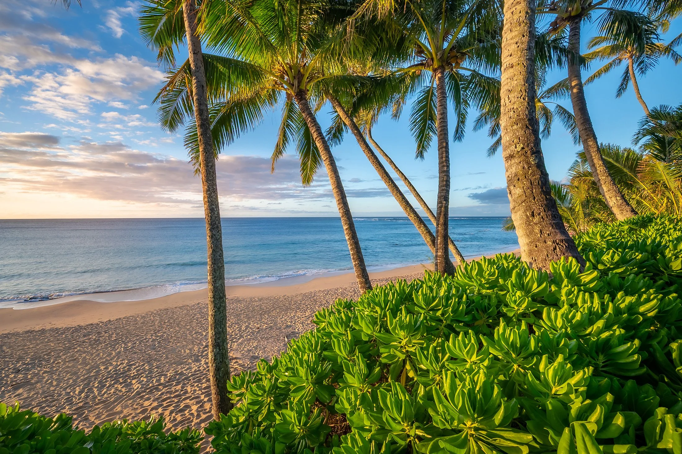 5-7834 Kuhio Hwy -  - 22.jpg