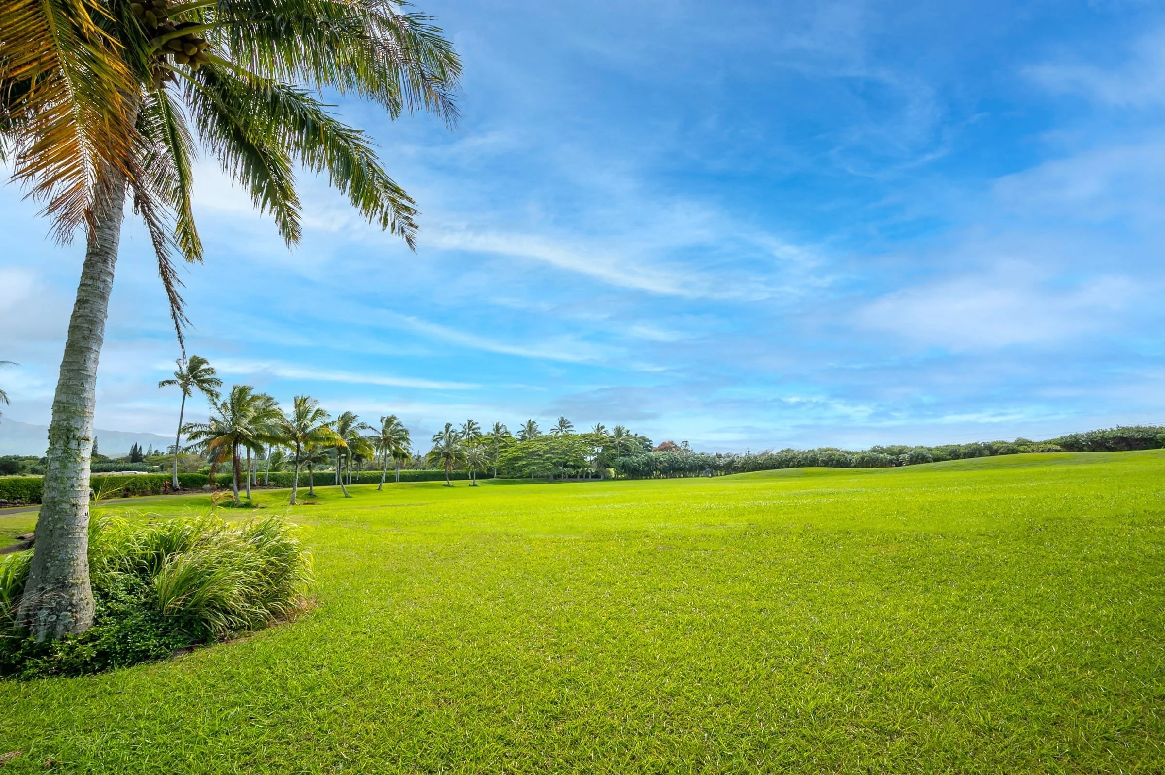 02. Seacliff Plantation Lot 7E (High Resolution) 01.jpg