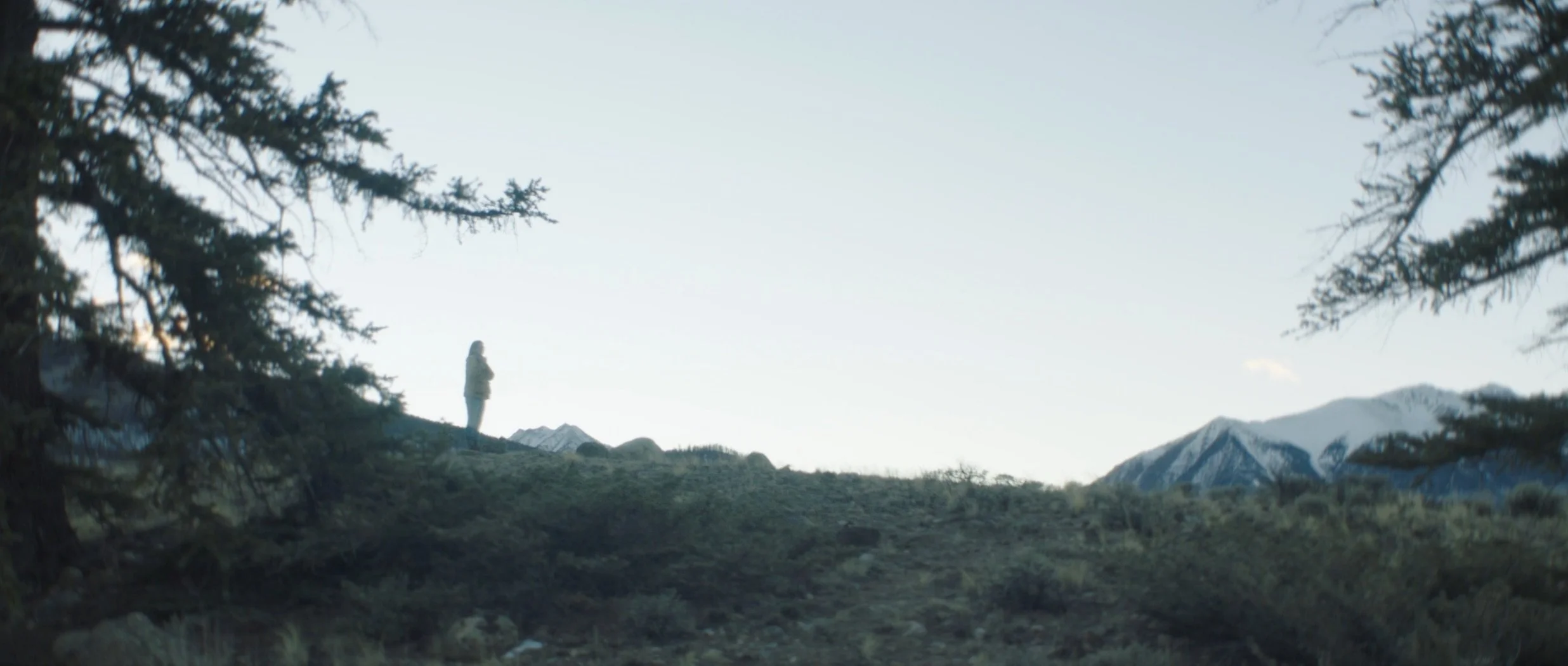 Screenshot 2026-01-26 at 8.22.33 PM.jpeg