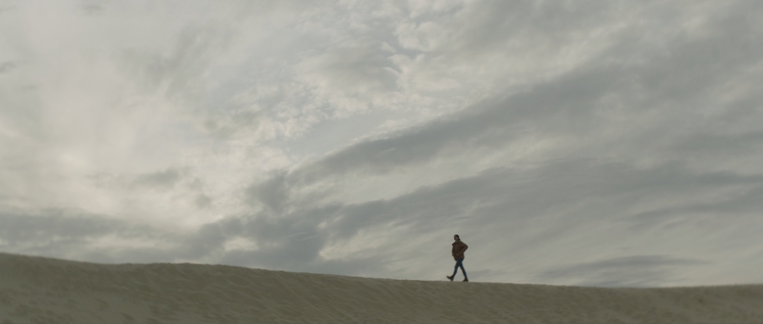 Screenshot 2026-01-26 at 8.22.48 PM.jpeg