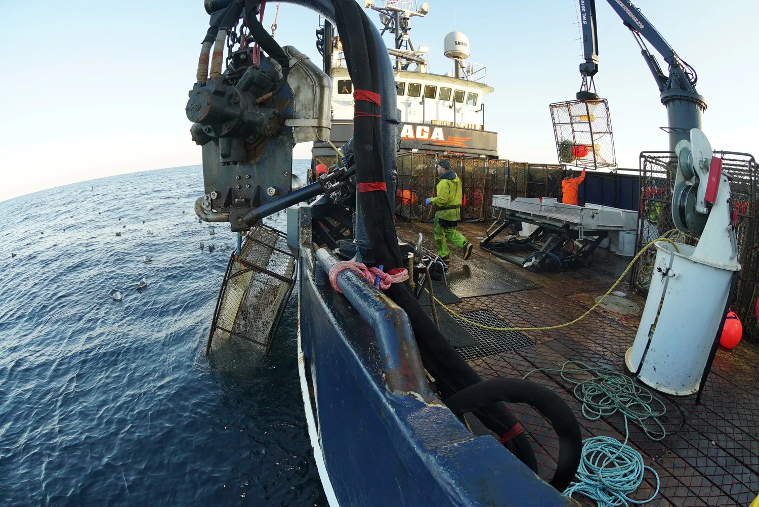 Deadliest Catch Saga Deadliest catch saga