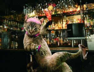 Party time bitches.