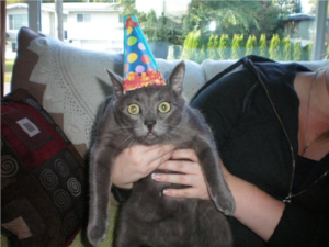 This is a WHAT party?!