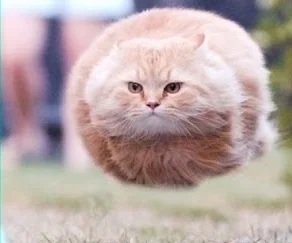 I CAN DO THIS. Acceptance.