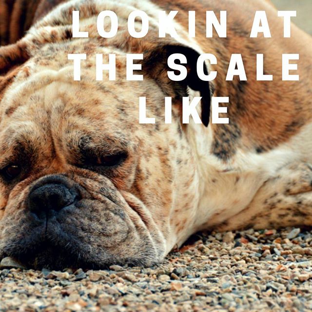Are your goals scale or measurement-based? Is it making you CRAZY??
▪️▪️▪️
For some, body image goals are fine. For many others, they aren’t fine.
▪️▪️▪️
Try making your goals action-based instead of image-based if you’re one of those that gets depressed and scared every time you step on a scale.
▪️▪️▪️
Ideas:
10 minutes of cardio every day
4 servings of veggies every day
50 squats daily for 30 days
64 ounces of water every day
Eat out only 1 time per week
Set aside 2 hours to create your meal plan
Prep 12 meals every Sunday night
Etc.....
▪️▪️▪️
With the right action-based goals, results you want are a natural side effect.
▪️▪️▪️
#minimalist #fitness #health #mealprep #healthyweight #goals #positivegains #strength #move #lift #walk #run #prevention #diabetes #nashvillehealth #nashville #musiccity #ImHealthierTN #eatright #eatlife #fitfam #gains #goals #fitnessmotivation #strength #nashvillenutritionist #greatness #easyrecipes #simplicity #simpleticnutrition