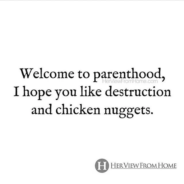 Credit: @herviewfromhome — I have a cousin that ate white bread with ketchup on it at Sunday night dinner many years ago. I didn’t have kids yet, and I thought, “How?! With all this delicious food how did it come to that?!” Now I know.... There is no room for judgement when it comes to someone trying to feed their kid. Everybody’s just doing their best to keep those suckers alive! What are your go-to healthy foods that your kids will actually eat? For mine, it’s smoothies, grapes, and applesauce packets.