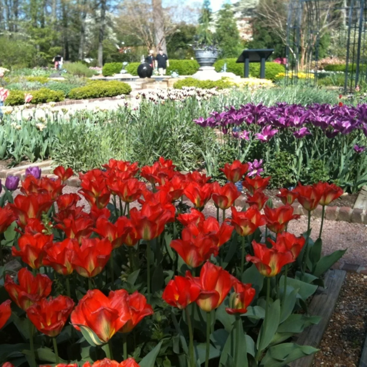 West TN Section: Dixon Gallery & Garden Spring Tour