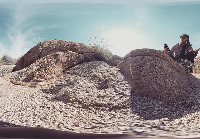 snakes, vr, shaka signs, desert, oh my!