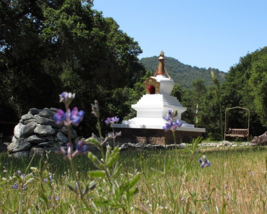 Stupa-with-Lupine-540x432.jpg