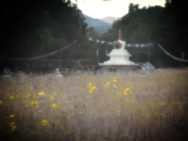 Stupa with Tarweed 2.JPG
