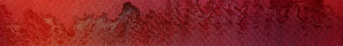 banner6.jpg