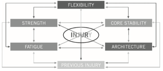 Figure 1: Adapted from Mendiguchia et al. highlighting the multifactorial nature of HSI (7). Question for later: Is there something missing in this diagram? 