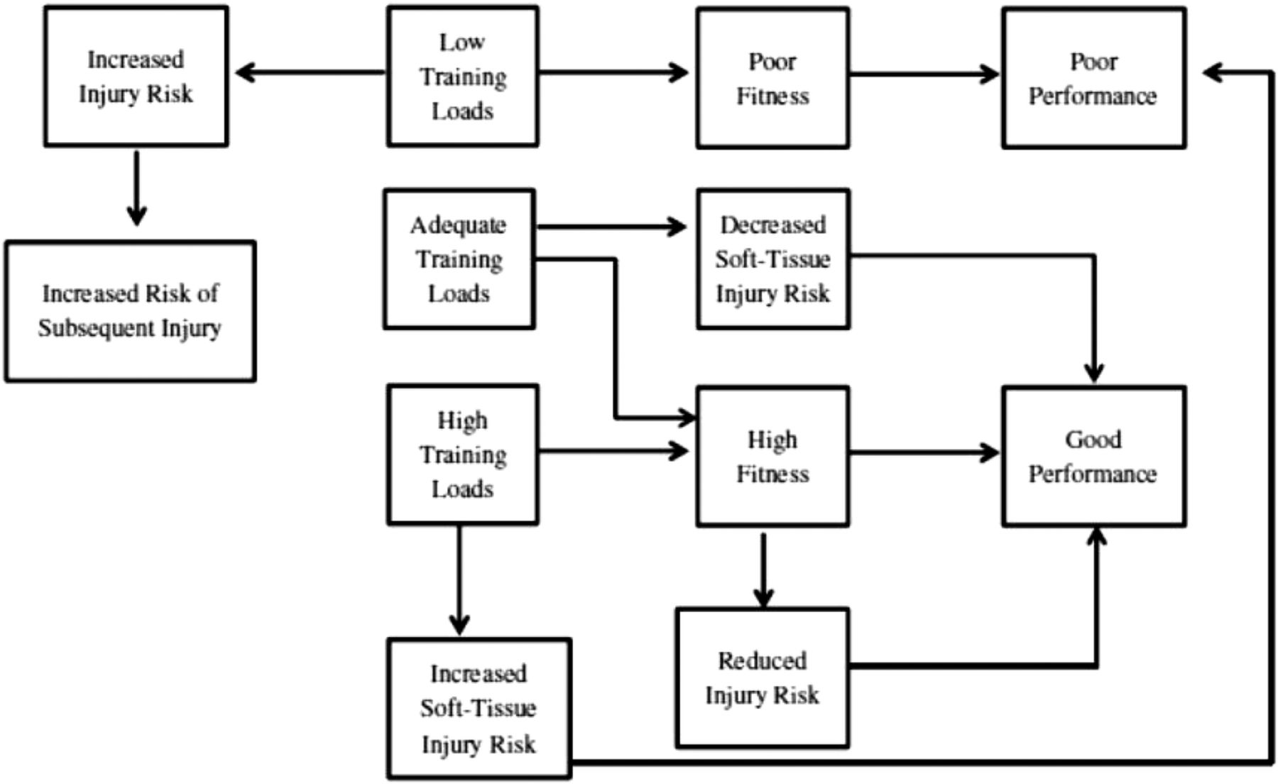 Figure 2: Adapted from Dr.Gabbett’s recent work - depicts how low, adequate, and high training loads may affect injury risk and performance.