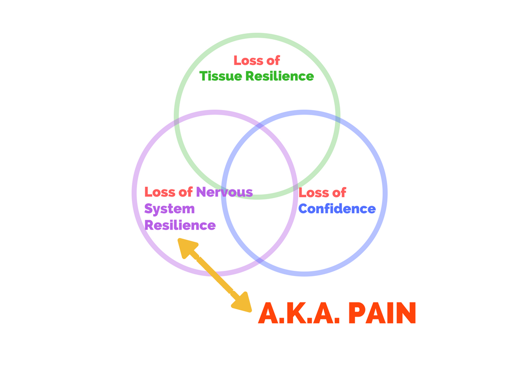 Figure 4. Conceptualizing “injury”