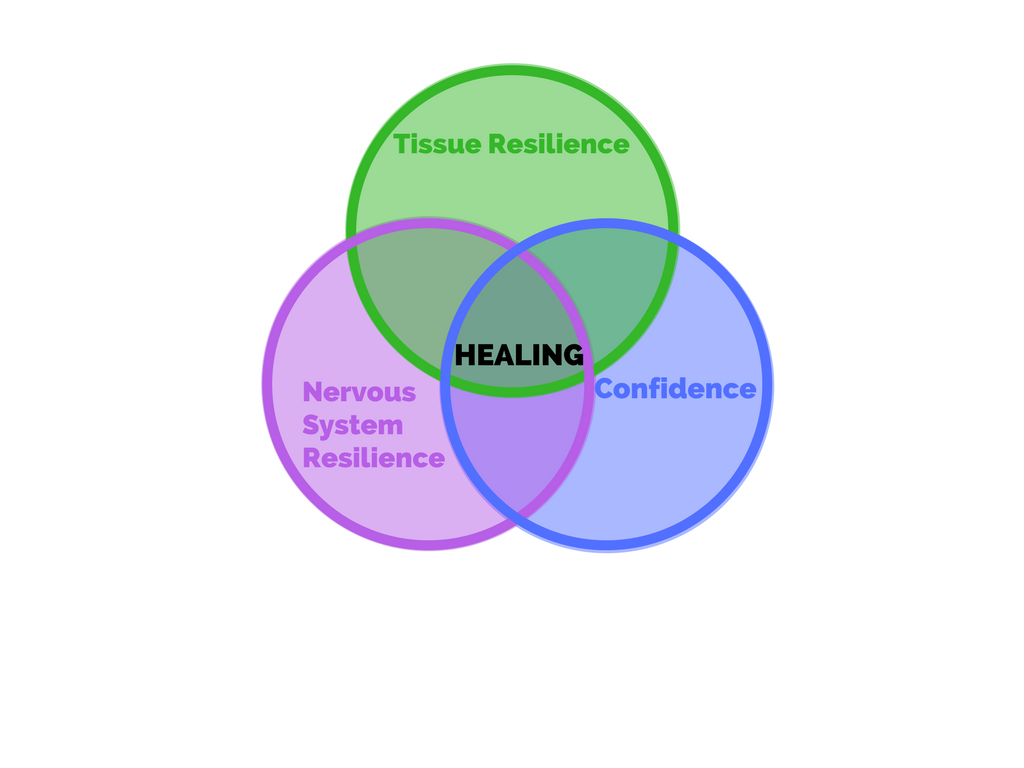 Figure 5. Conceptualization of “healing”
