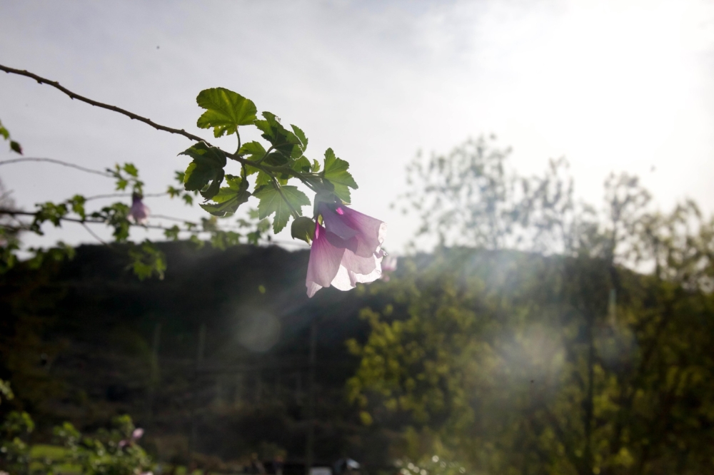 Glamping 2015-14.jpg