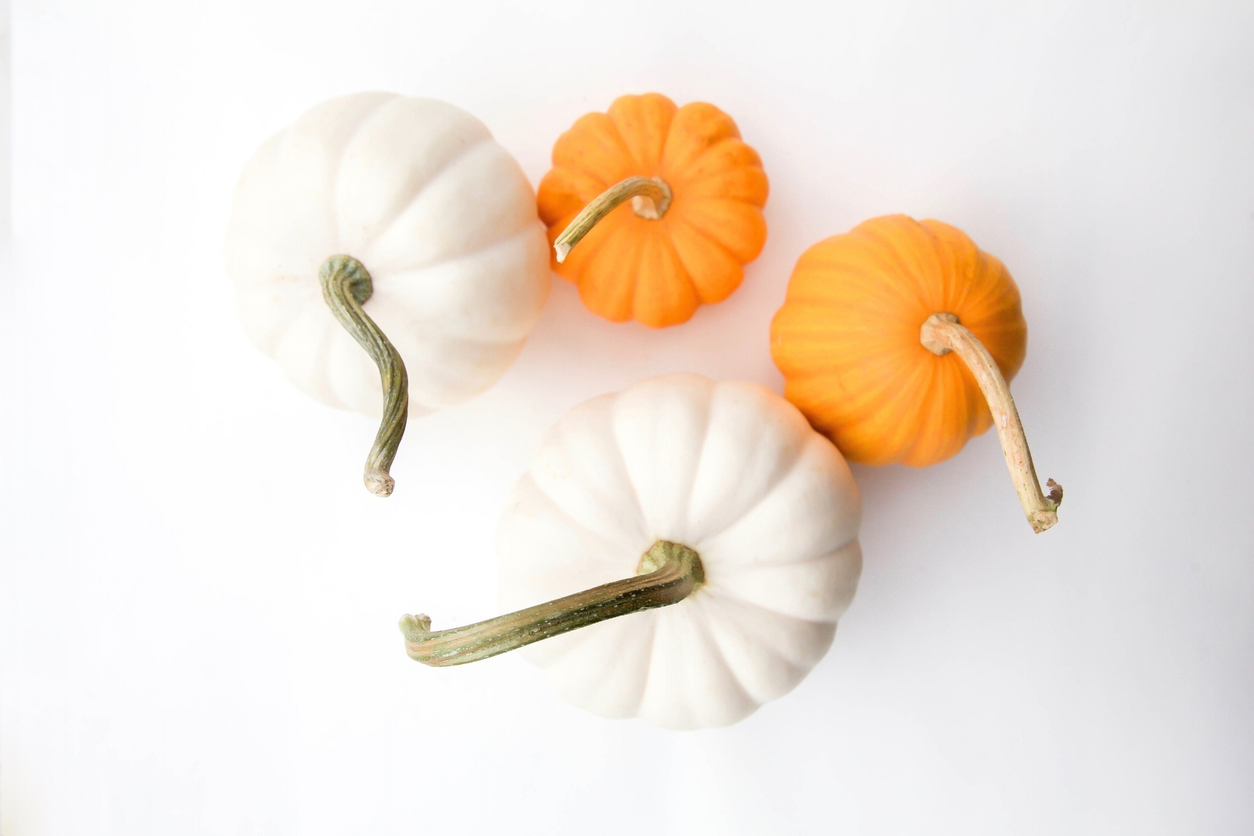 fall-1.jpg