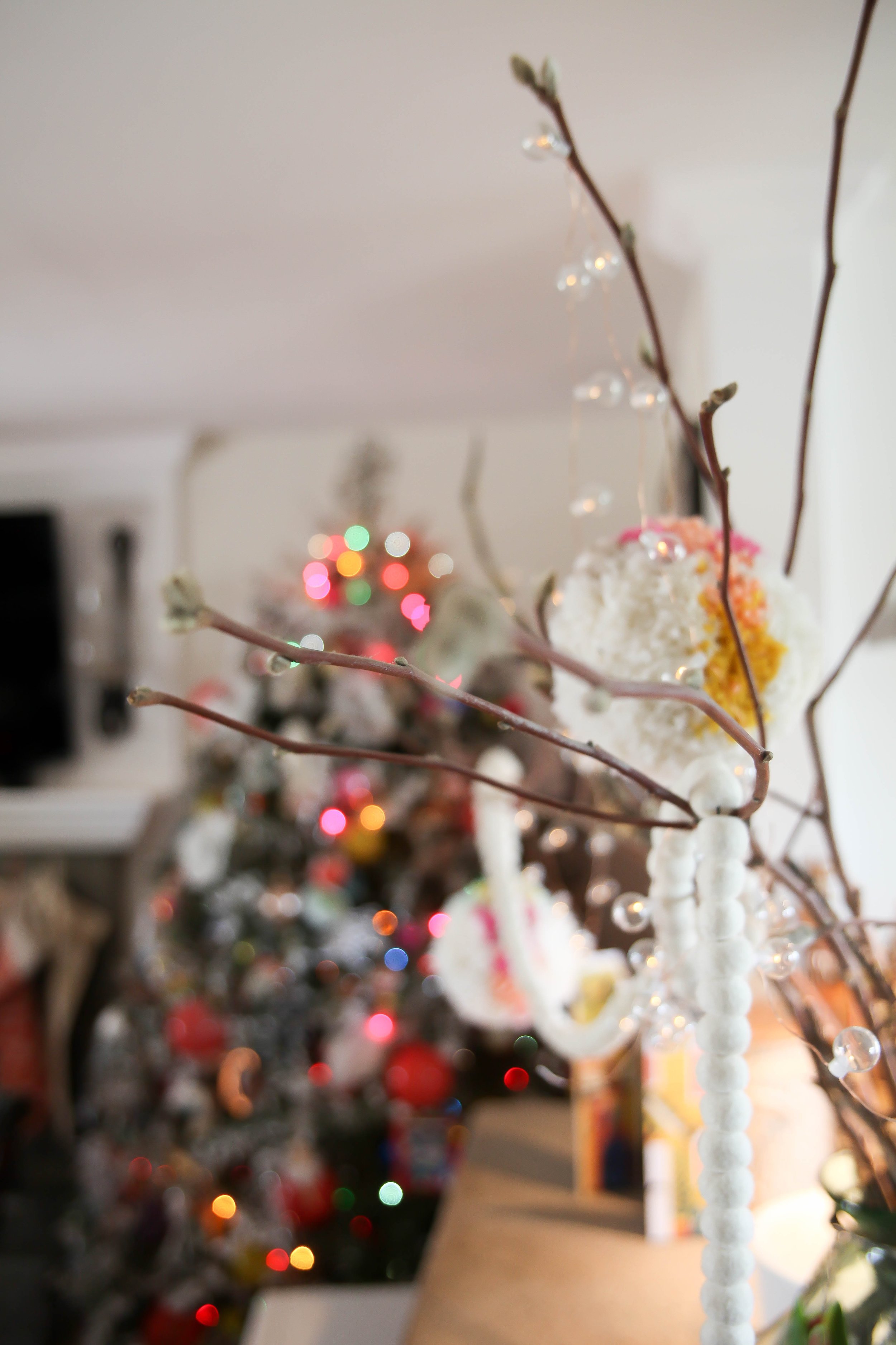 winter 2016-8.jpg