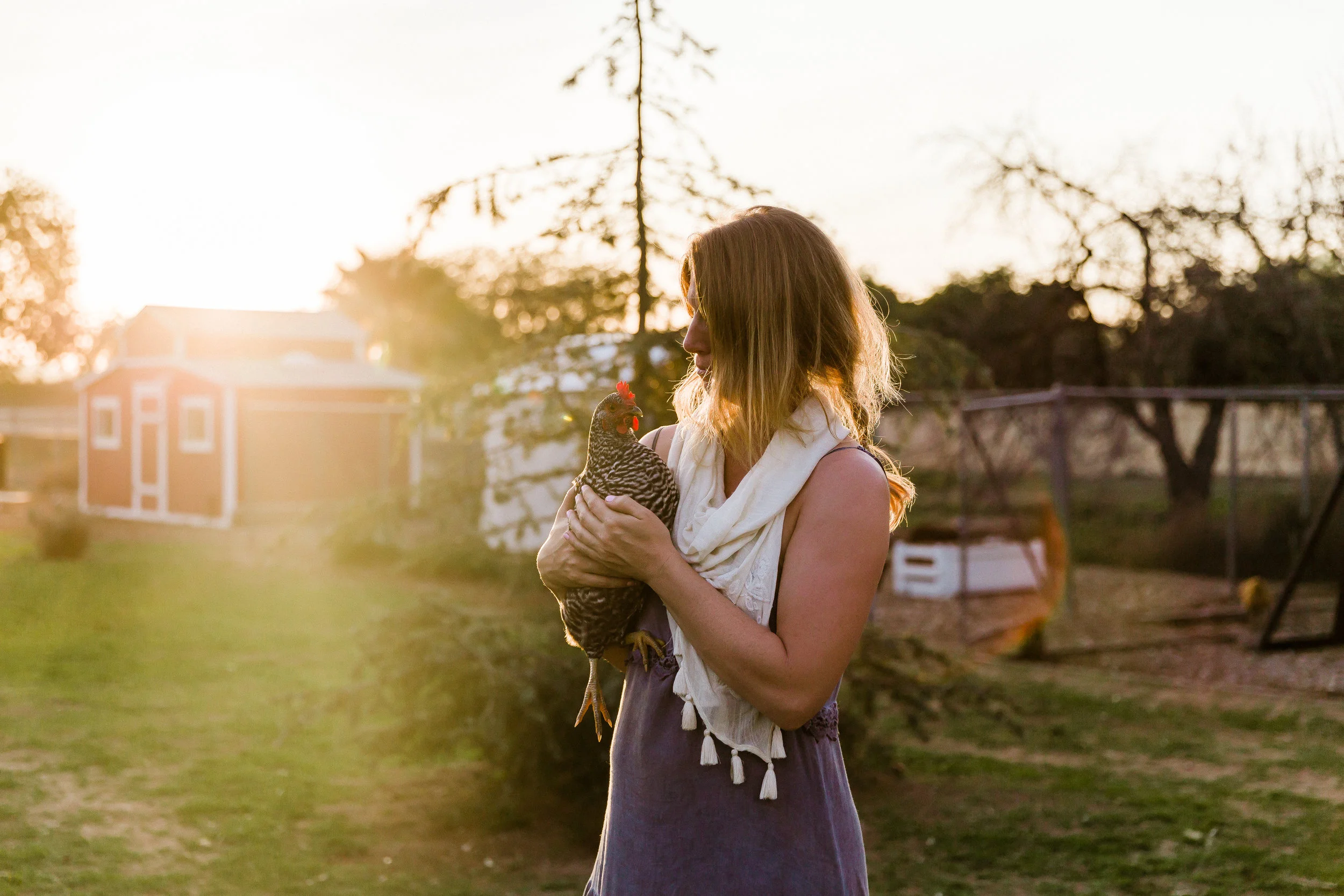 photograph by Kelly Sweda