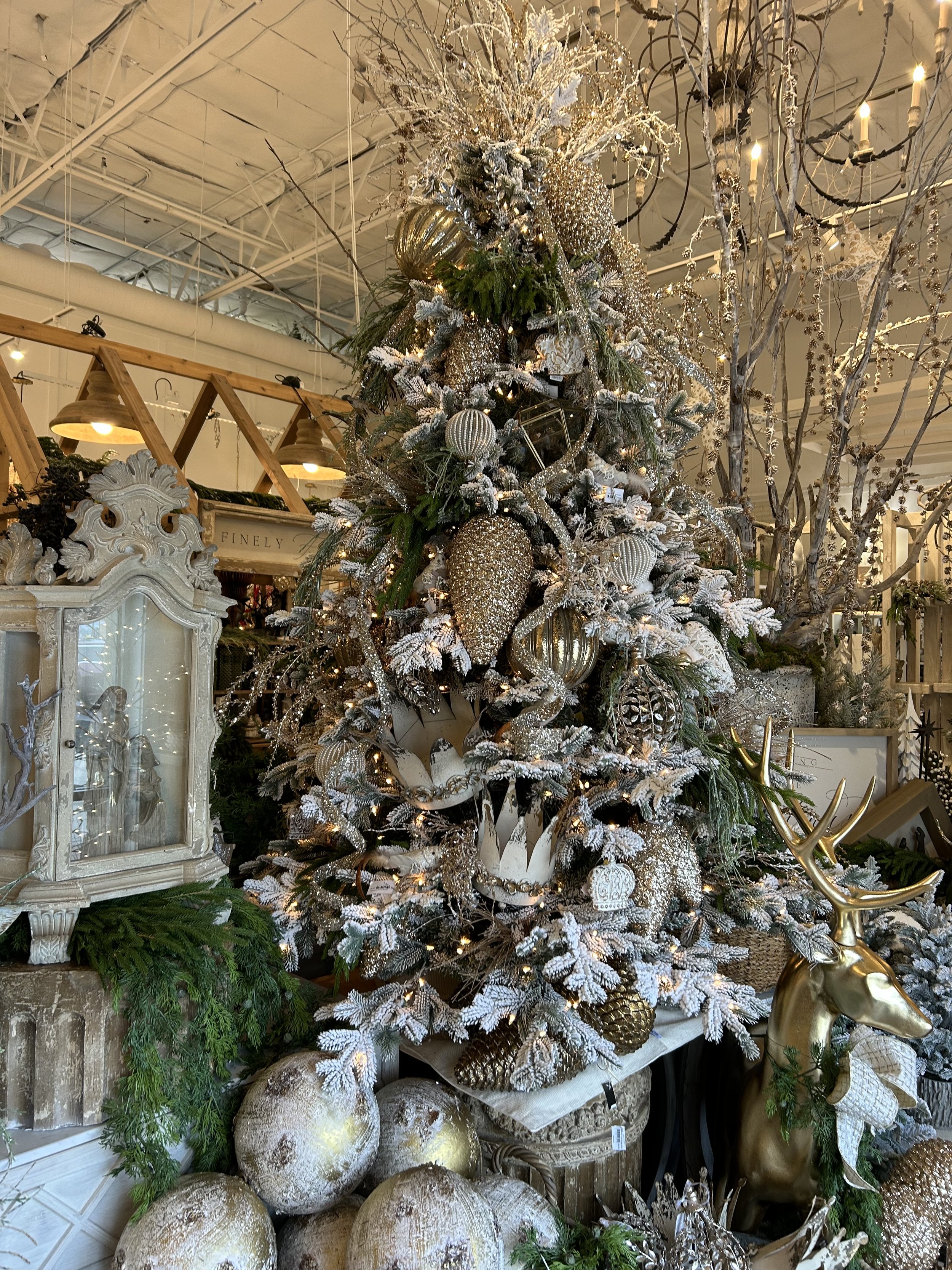 IMG_6071.jpeg