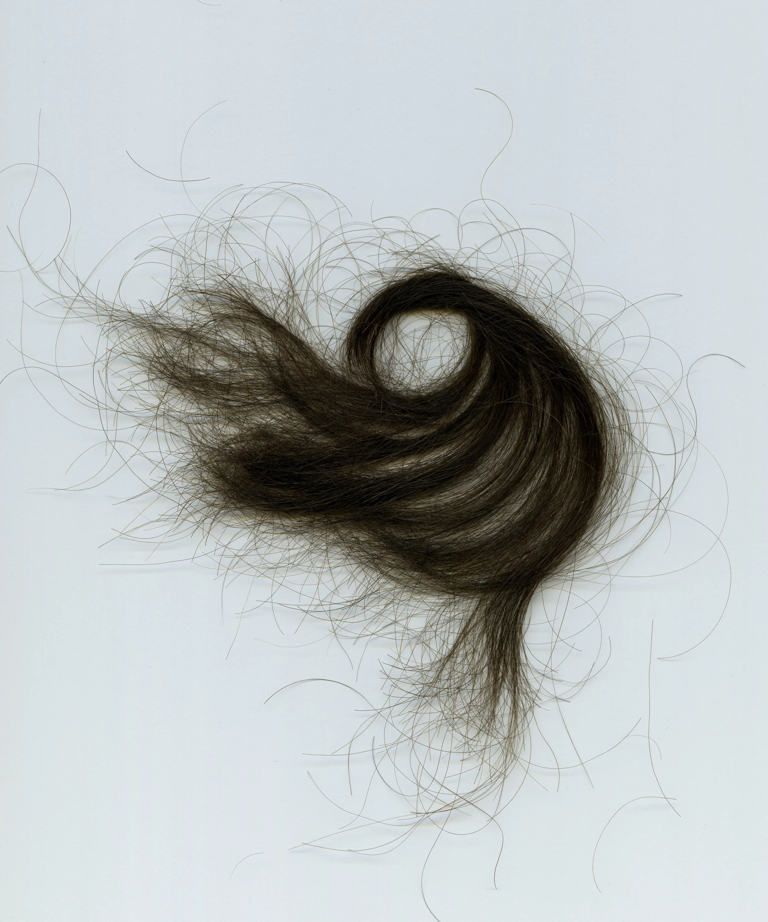 Study (Hair Scan)