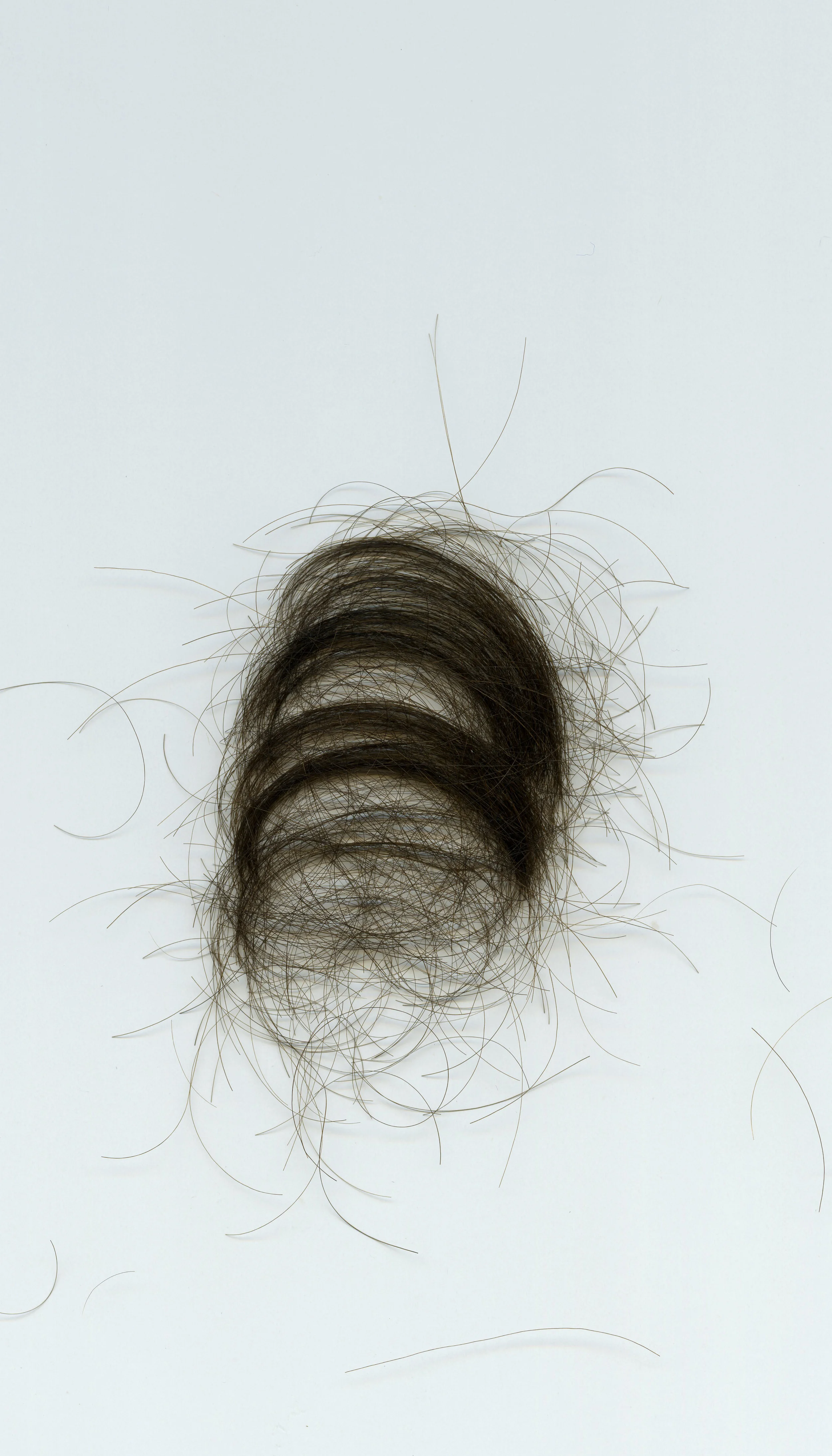 Study (Hair Scan)