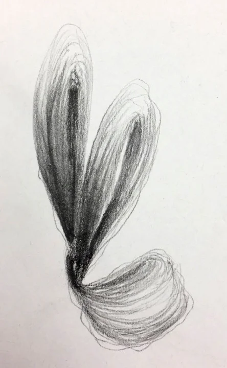 Hair Study