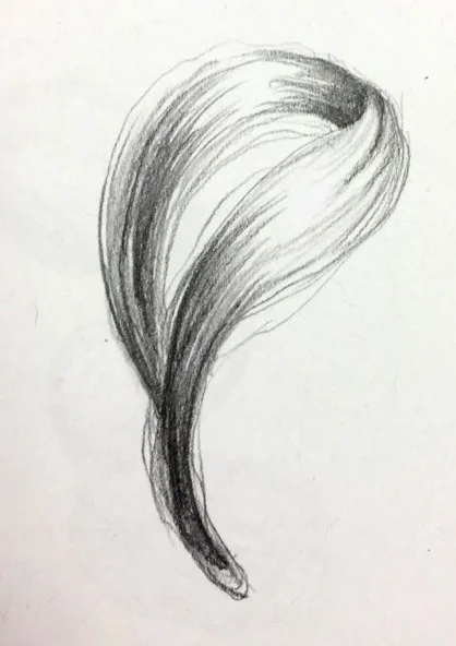 Hair Study