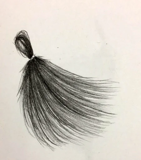 Hair Study