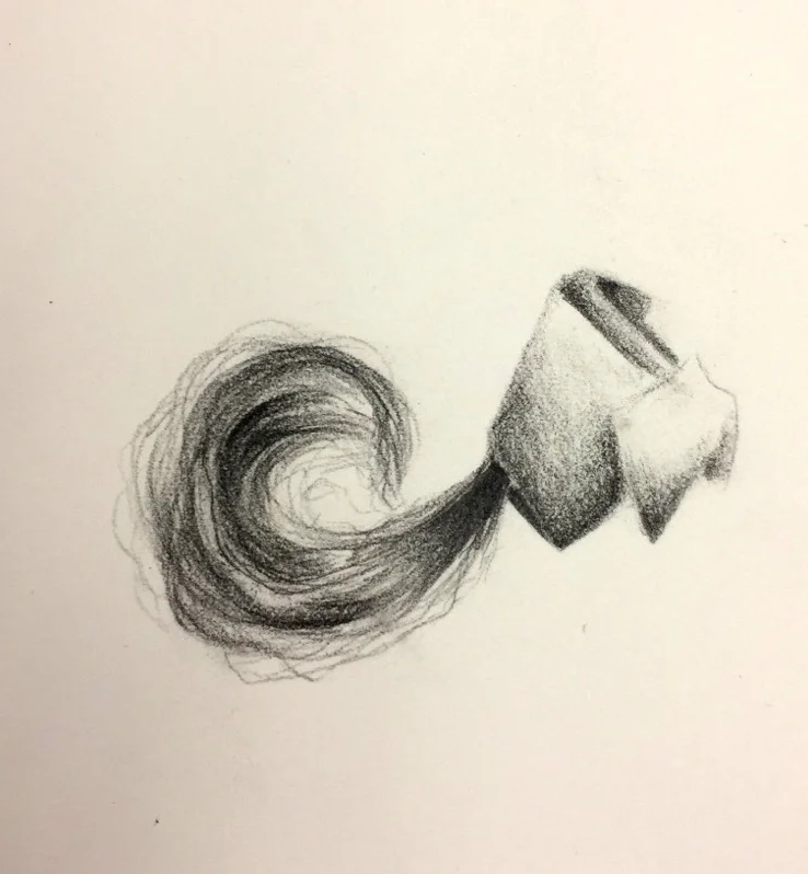 Hair Study