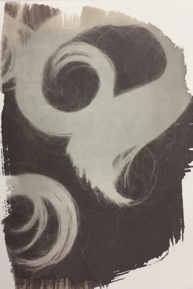 Salt Print 2016