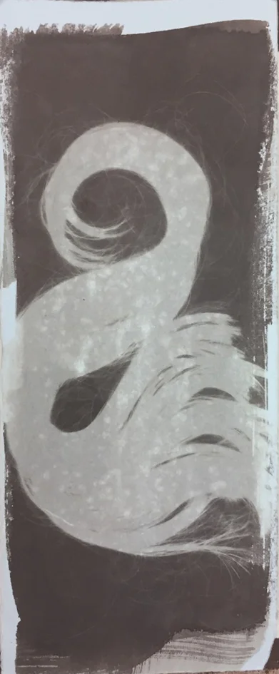 Salt Print 2016