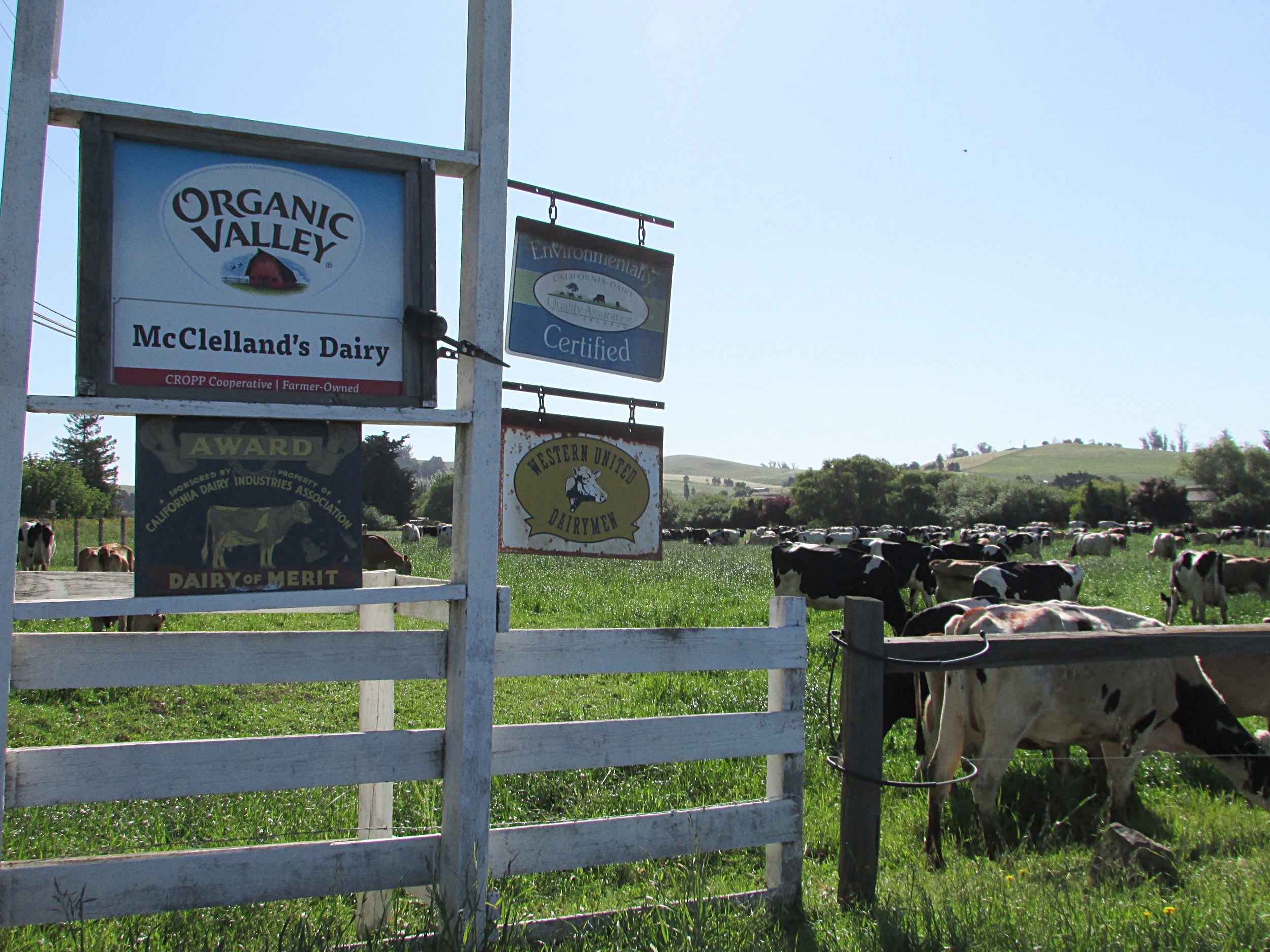 Entrance to McClelland's Dairy