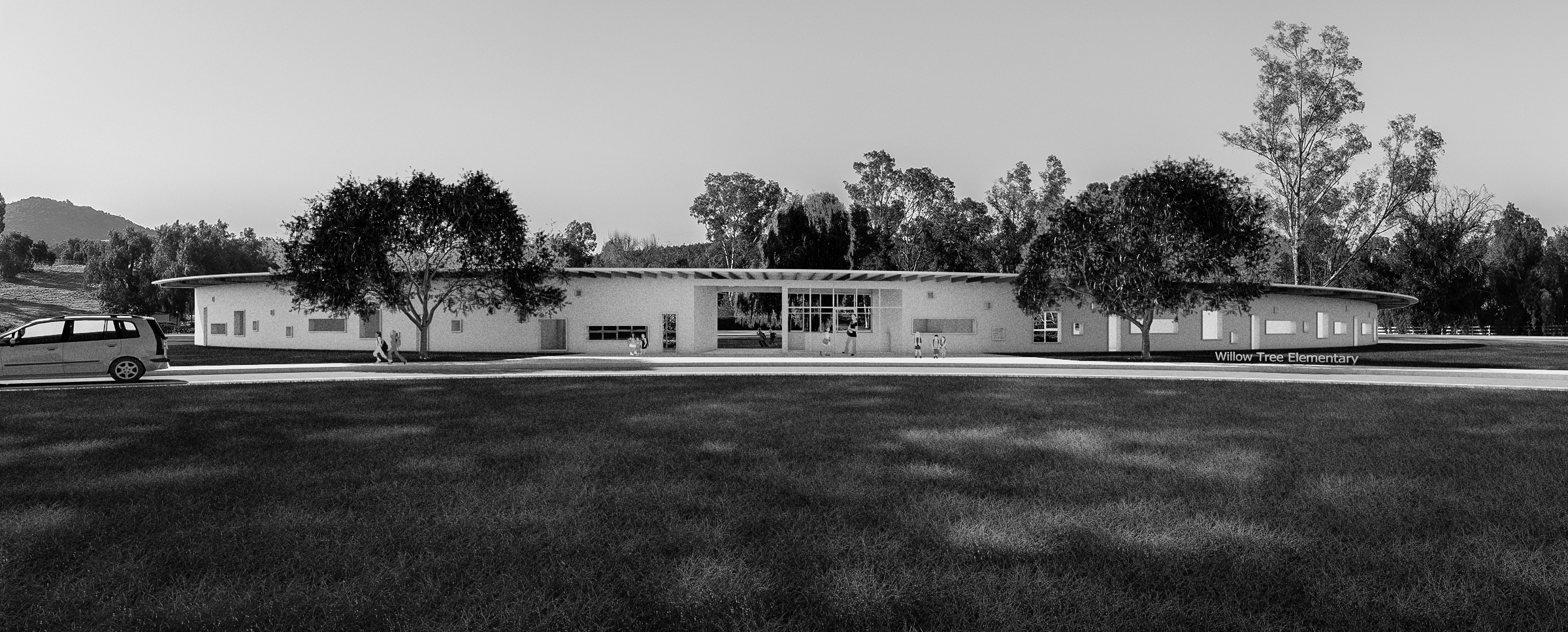 willow tree-4.jpg