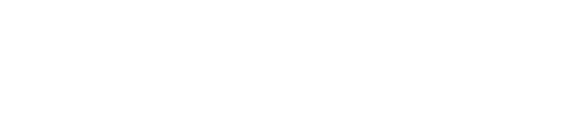 vtWHITE.png