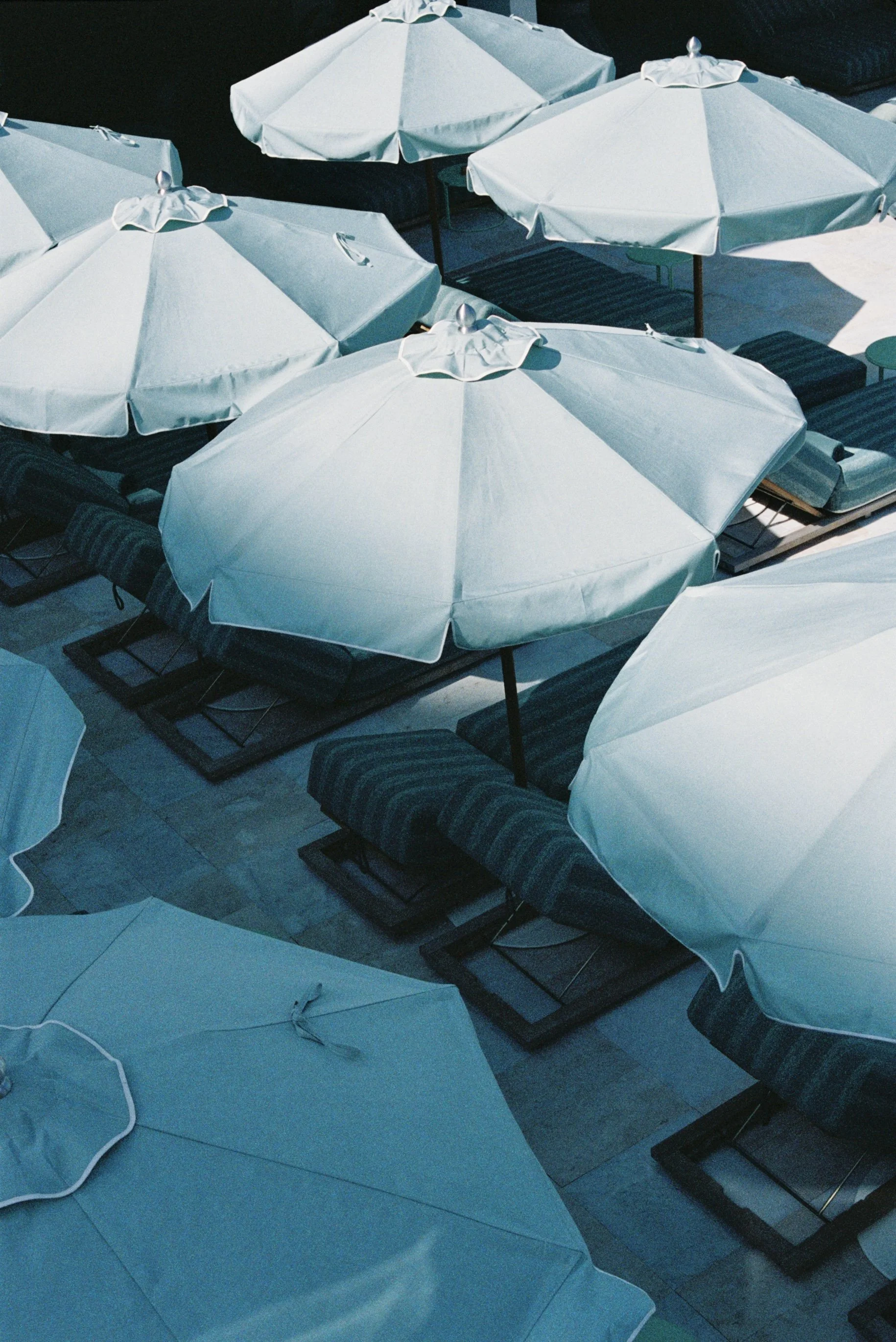 SHELBORNE MIAMI- JENN EDELSON 11.jpg