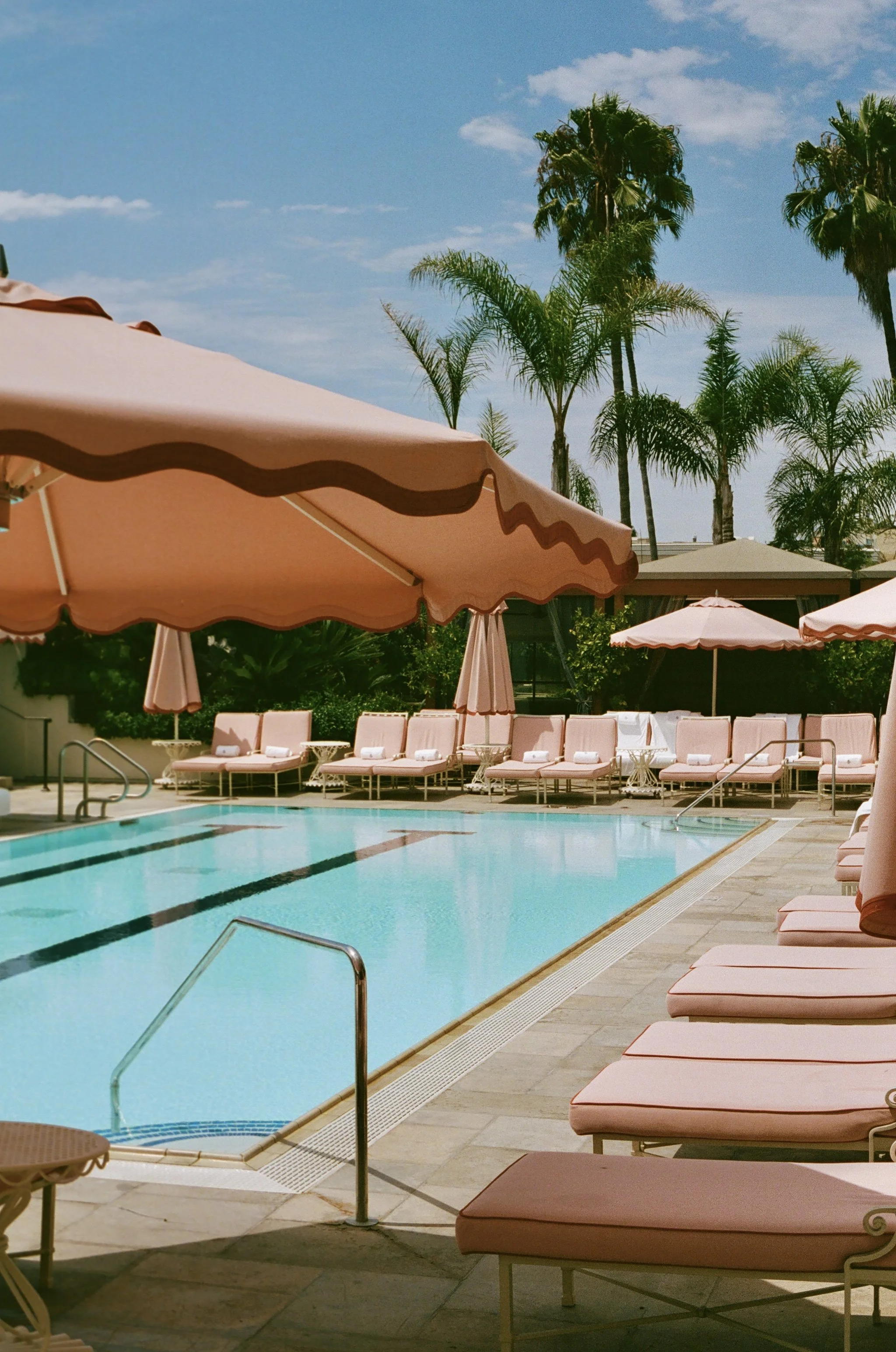 JENN EDELSON- FOUR SEASONS FILM 30.jpg.jpg