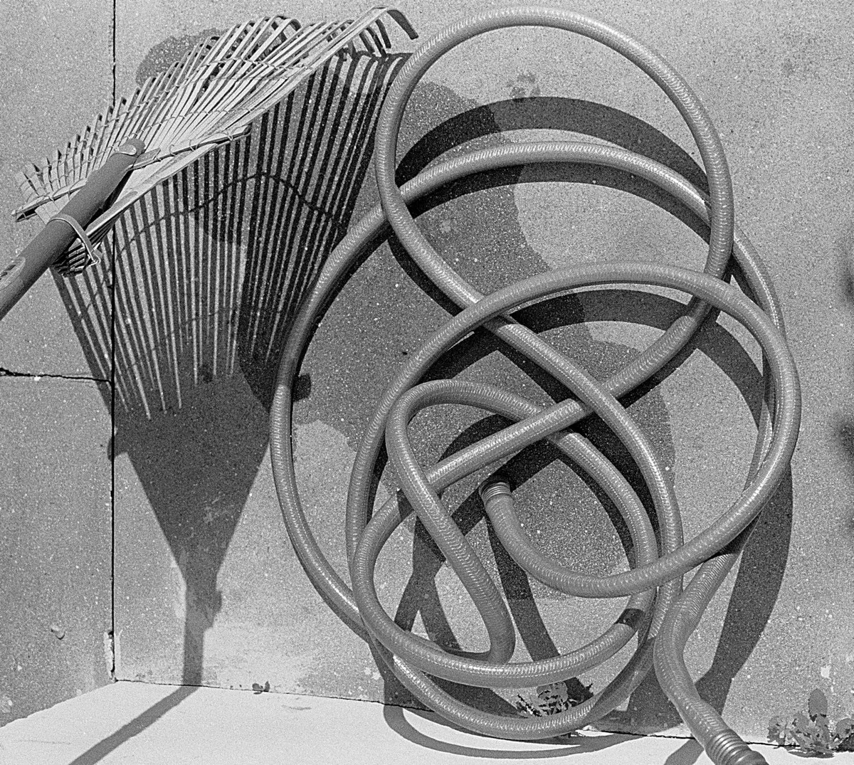 Shadows, soft and hard-001.JPG