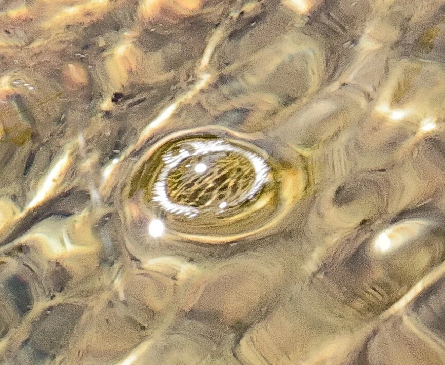 detail of 3 (left center)