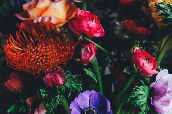 Women's Wisdom Breathwork Circle