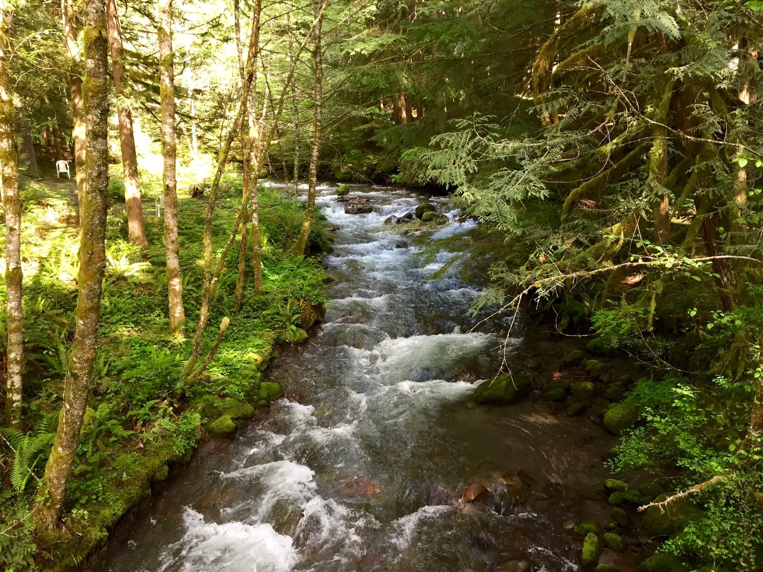 IMG_0248.jpg