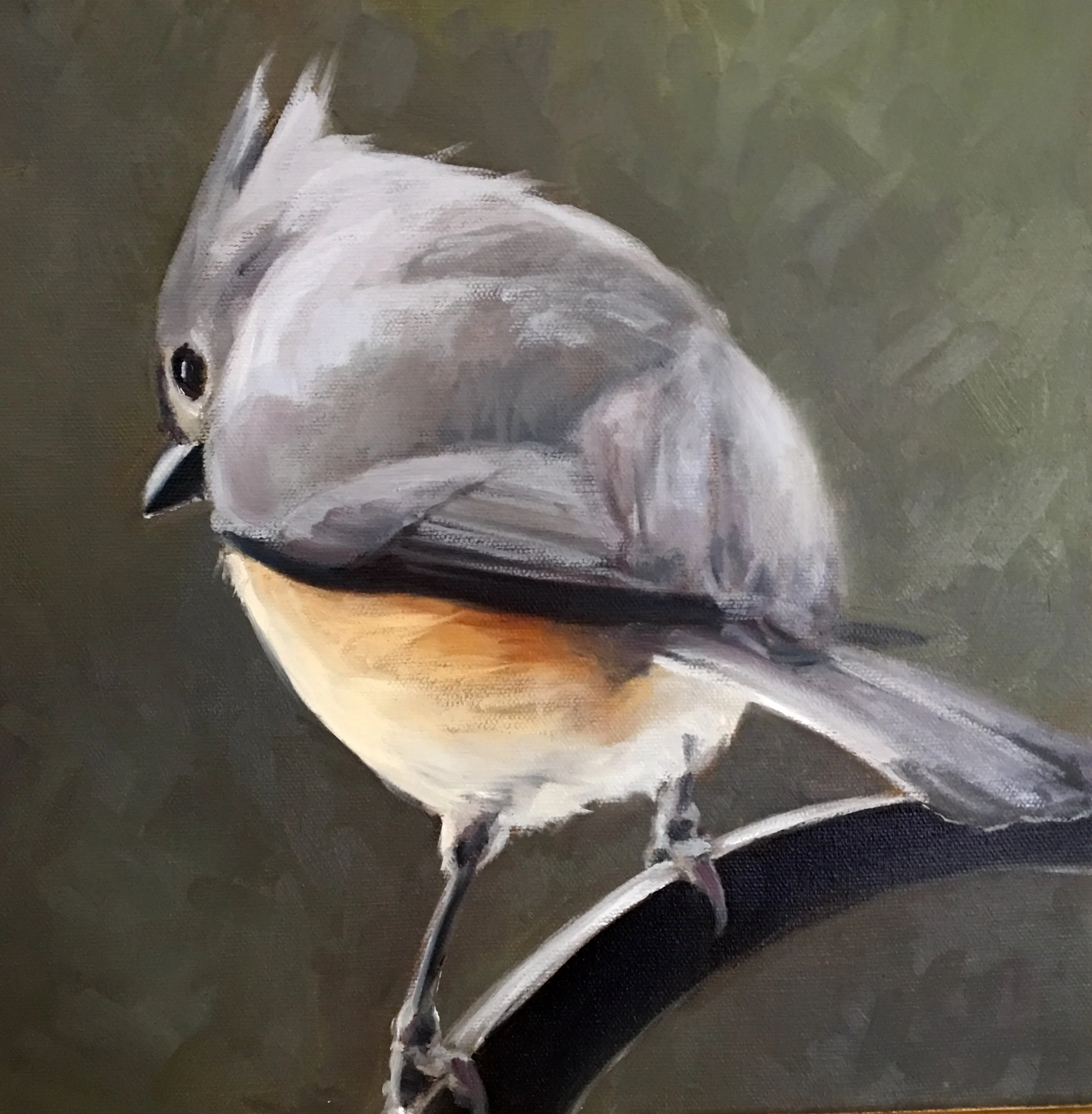 Tufted Titmouse