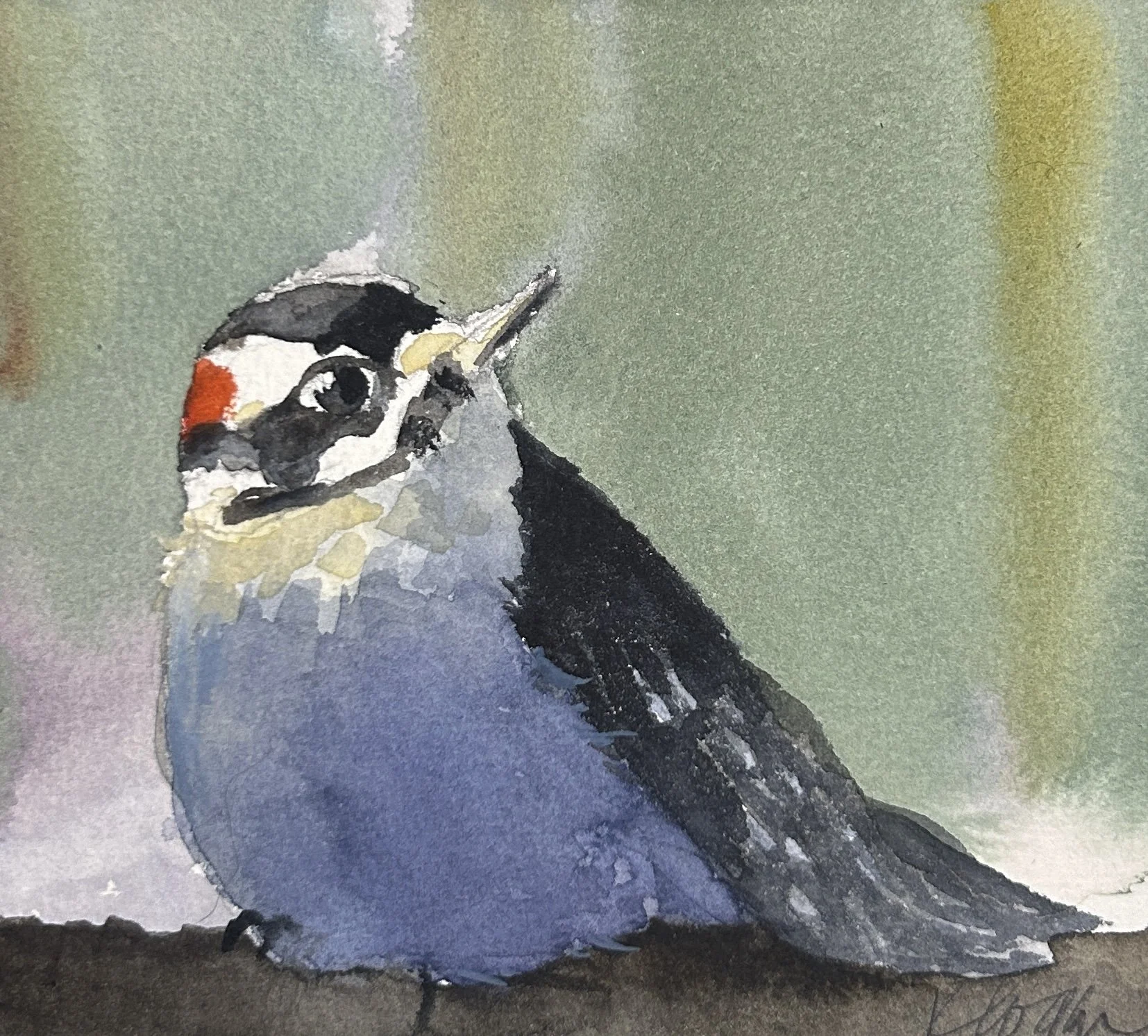 Considering the Possibilities. Downy Woodpecker