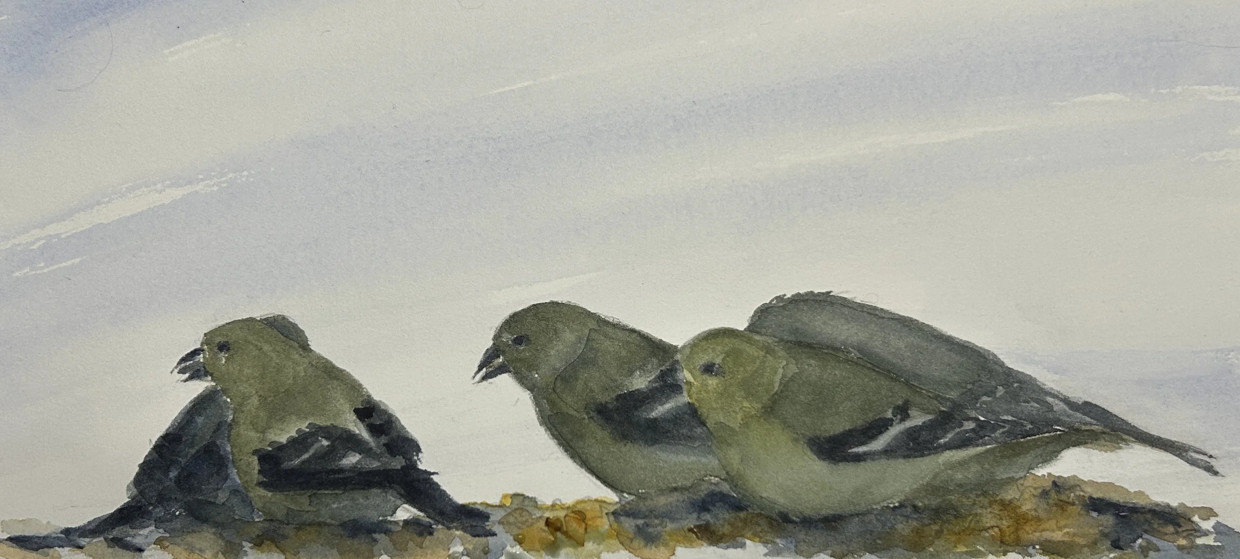 Winter Flock, Goldfinches