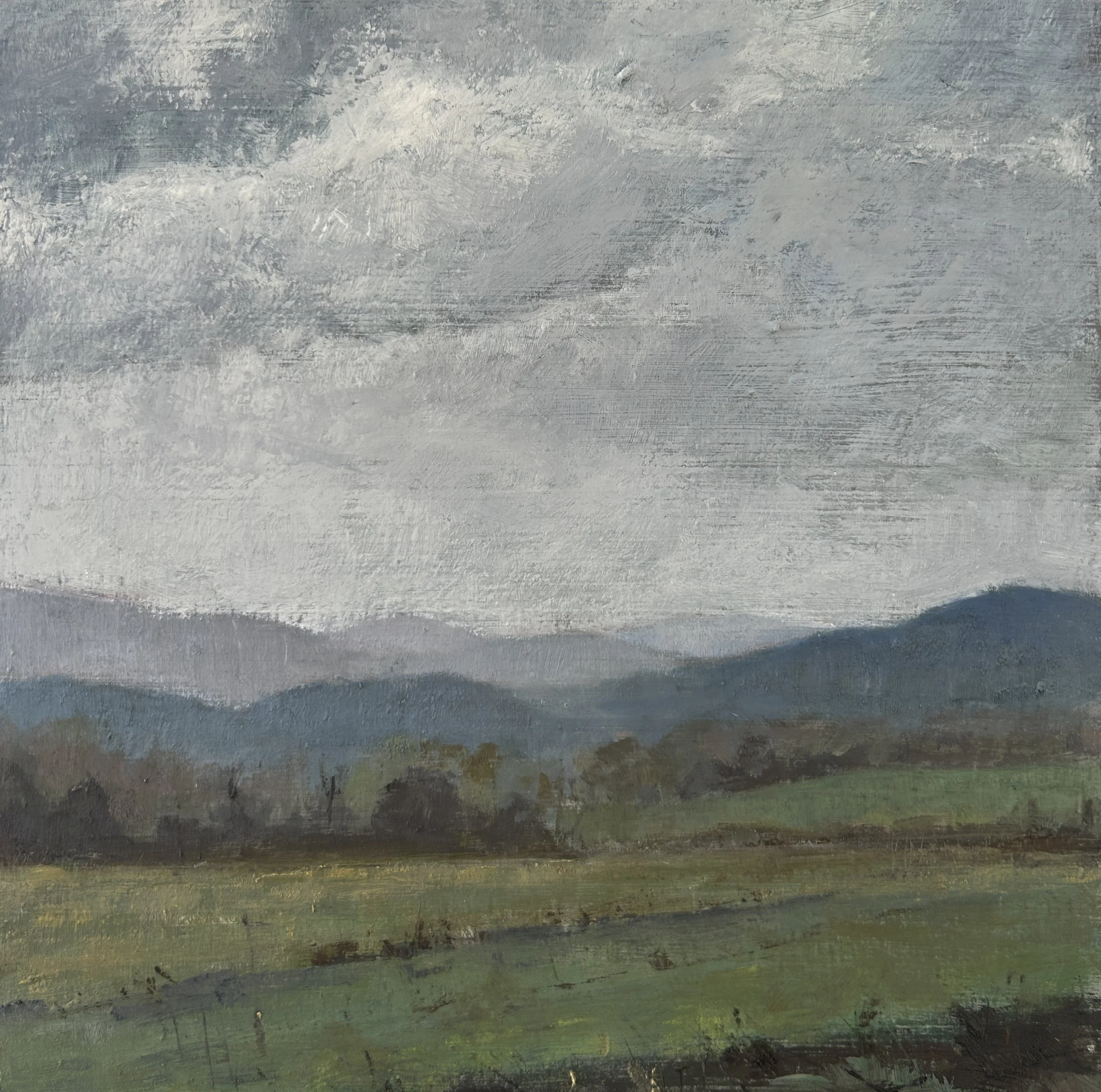 New York Spring Field