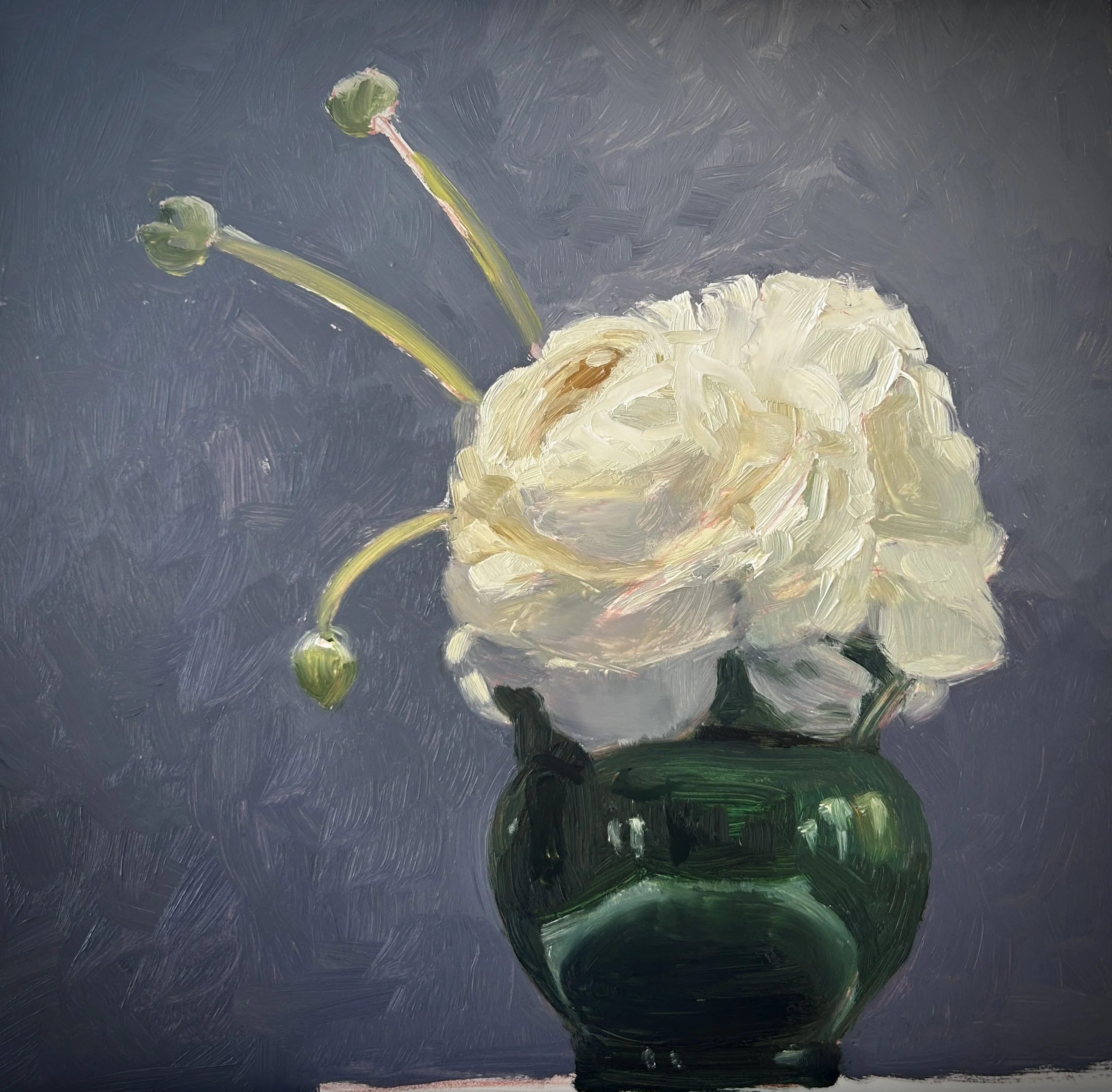 White Peony Still Life