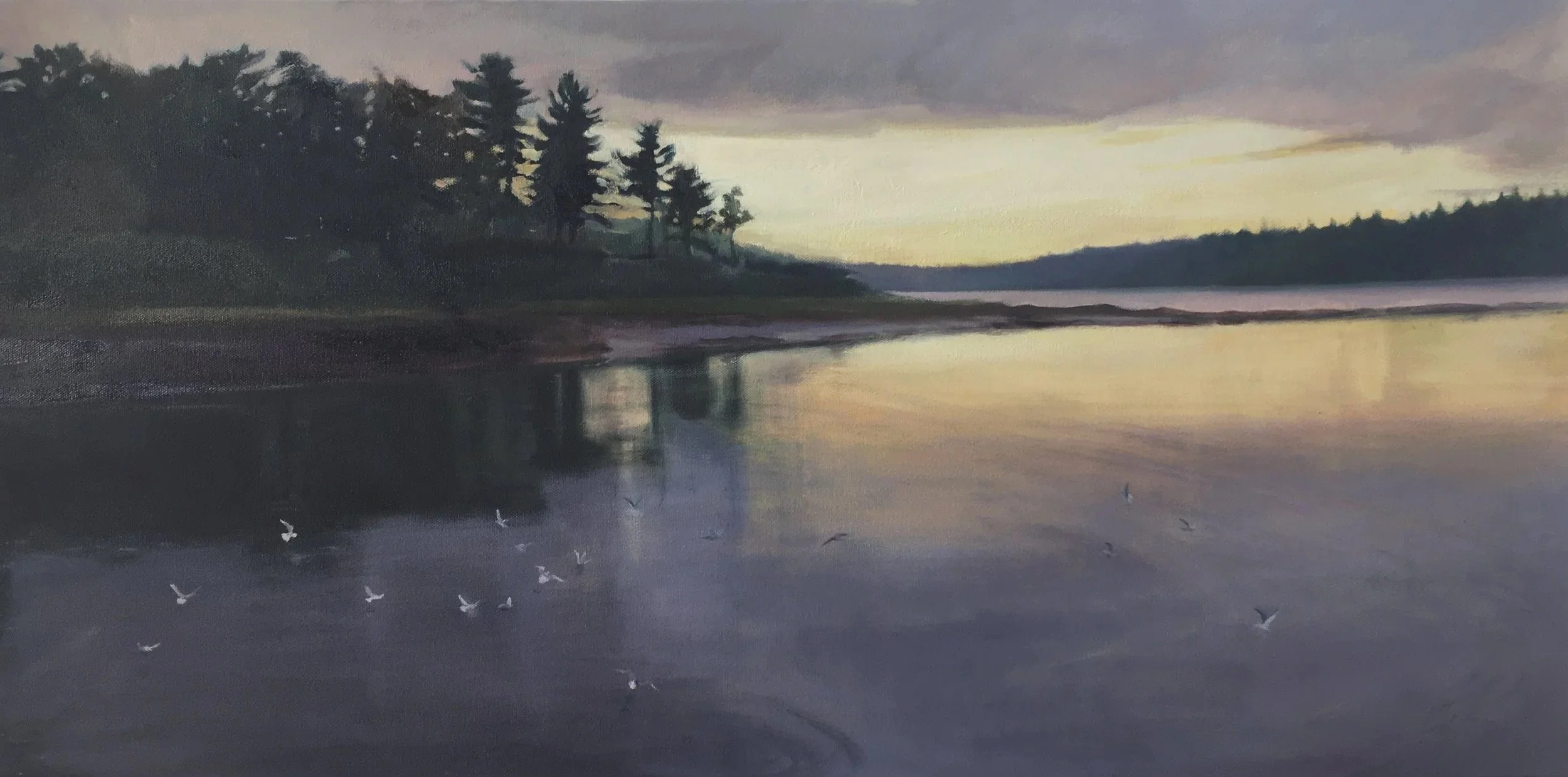 Evening Flock, Damariscotta