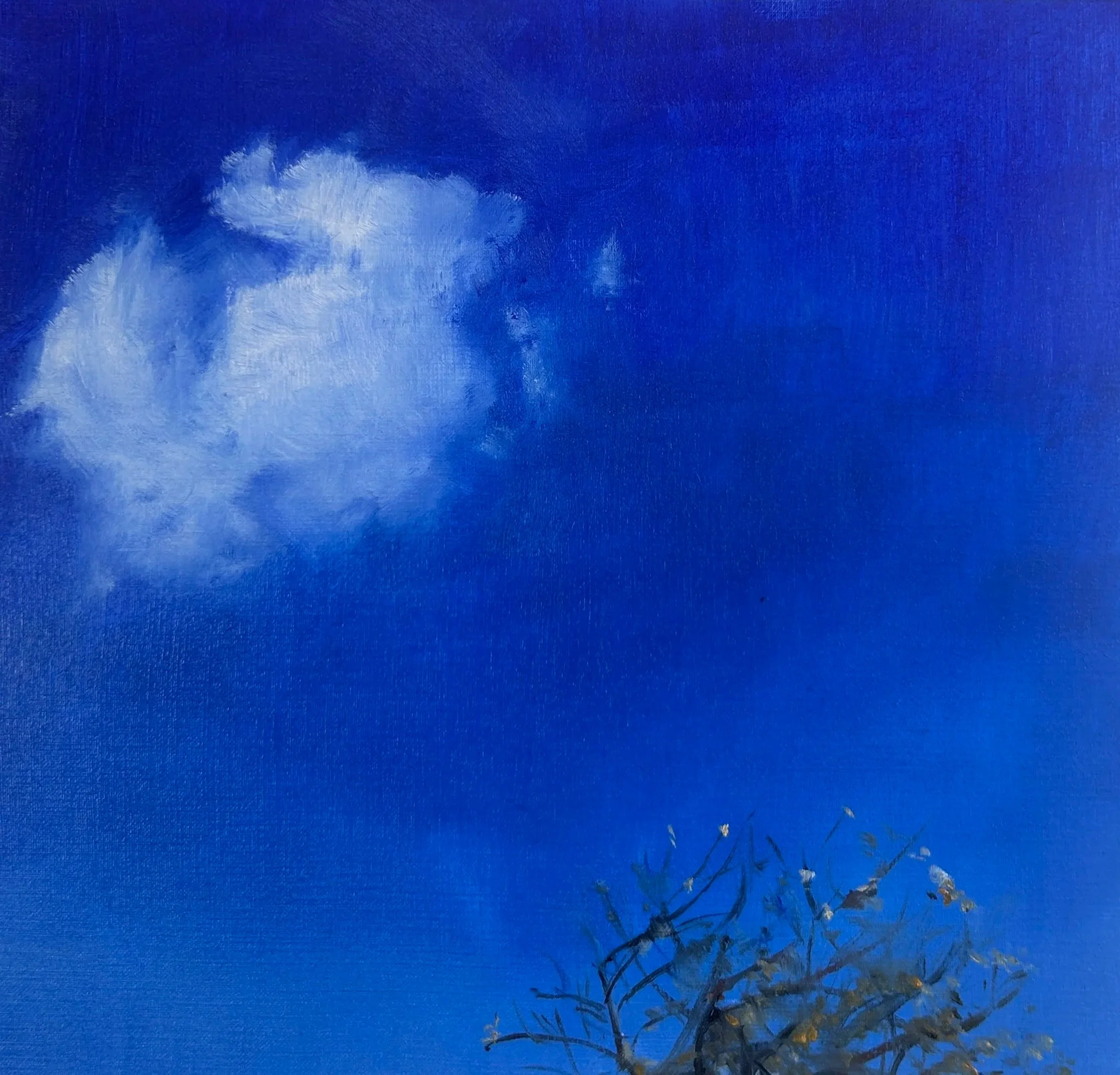  Cloud and Apple Tree  Oil on Paper, 8”x8”     