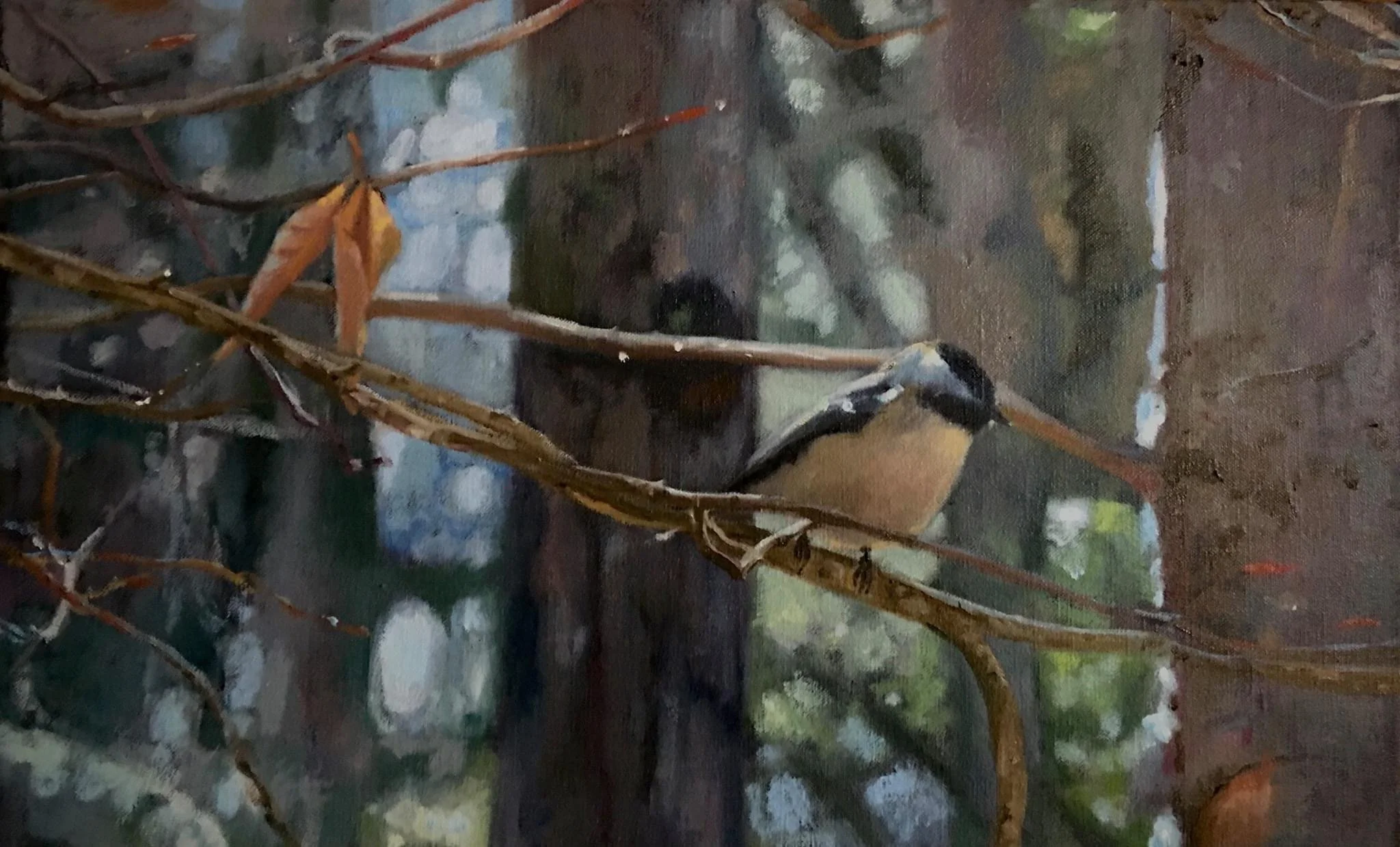 A Special Visitation with a Chickadee